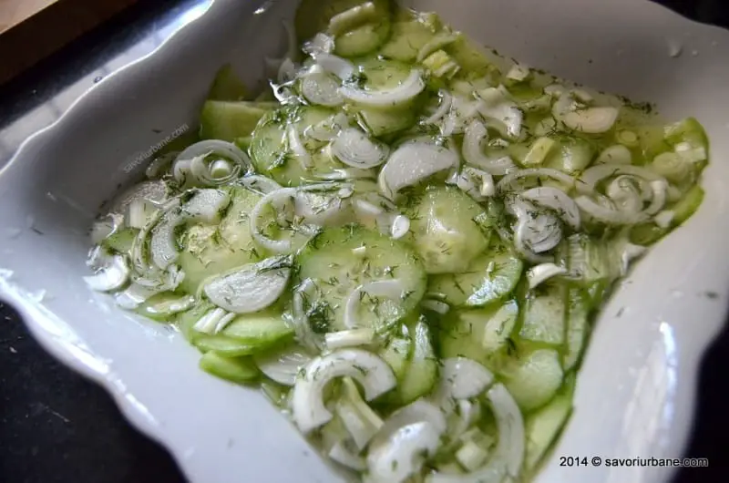 Salata de castraveti cu ceapa si boia (3)
