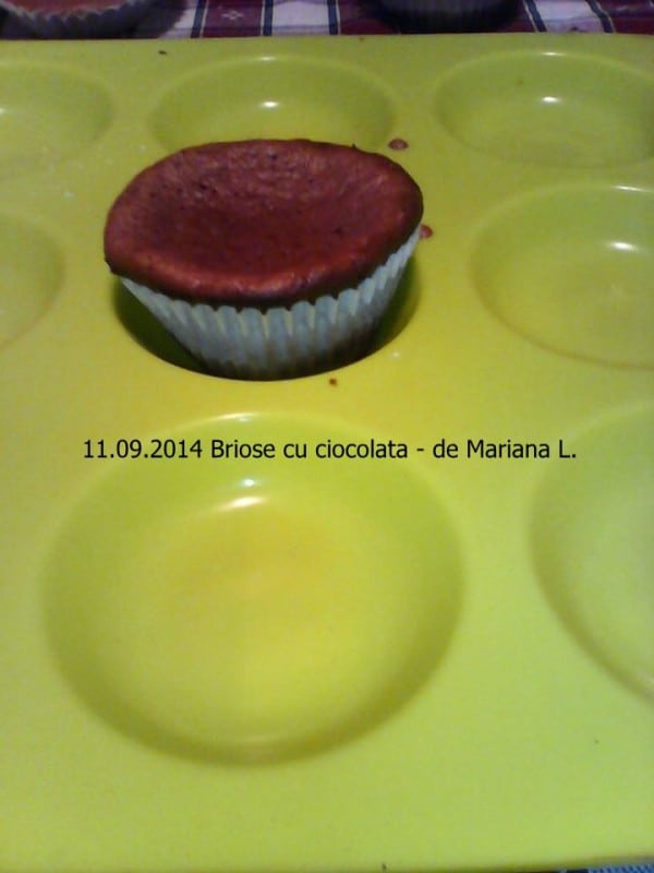 11.09.2014 Briose cu ciocolata Mariana L.