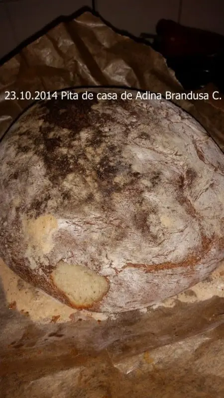 23.10.2014 Pita de casa Adina Brandusa C.