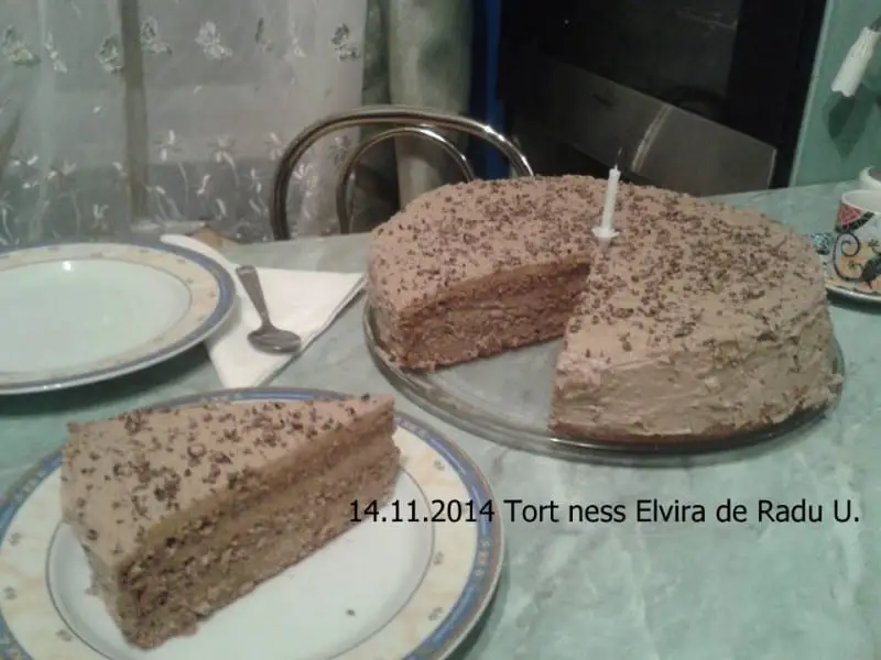 14.11.2014 Tort cu ness Elvira de Radu U.