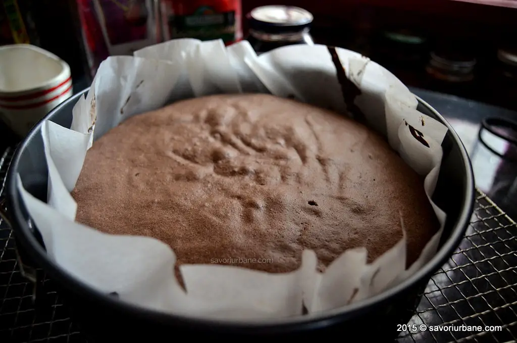 Blat de tort pandispan cu cacao (17)