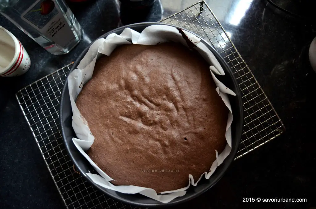 Blat de tort pandispan cu cacao (18)