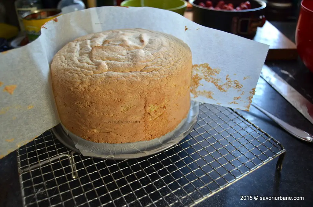 Blat de tort simplu - pandispan cu vanilie Savori Urbane (12)