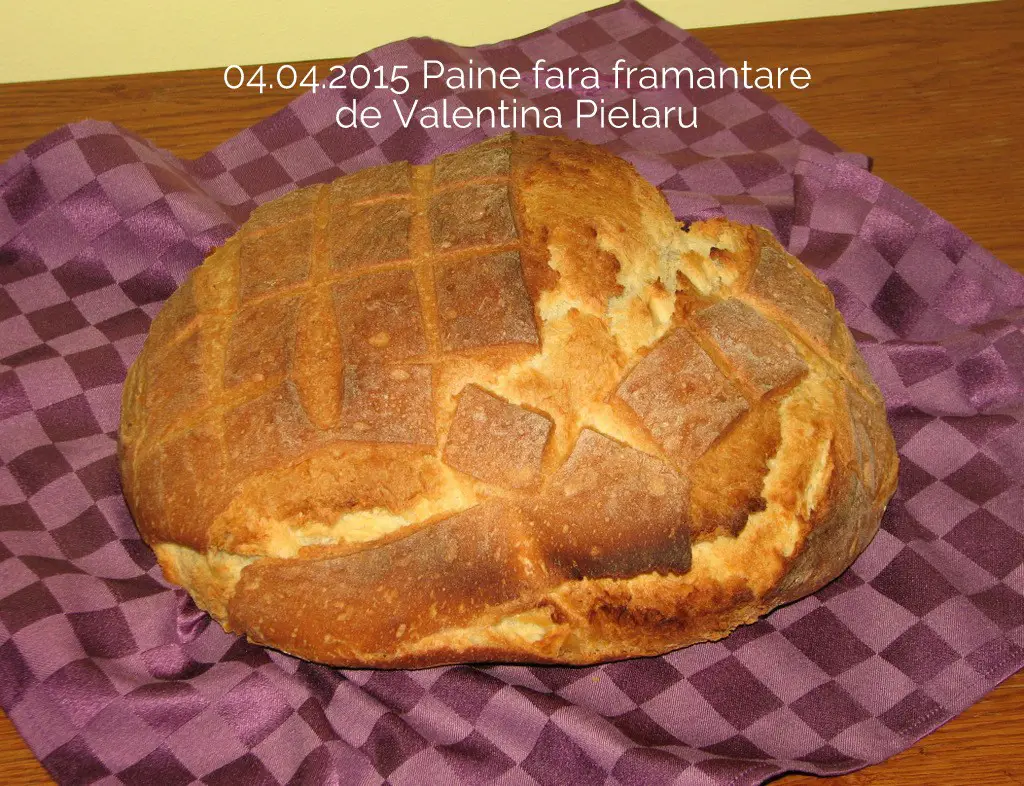 04.04.2015  Paine fara framantare Valentina Pielaru