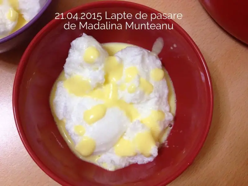 21.04.2015 Lapte de Pasare Munteanu Madalina