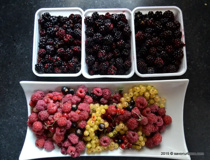 Cum se prepara dulceata de fructe de padure zmeura afine fragi coacaze mure (1)