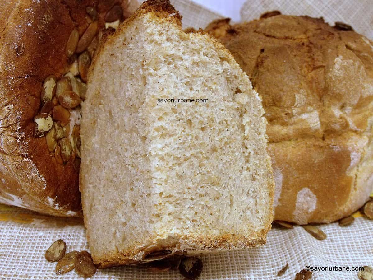 sectiune miez pufos paine de secara pentru castron scobit