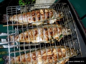 Mixed grill pastrav creveti frigarui (11)