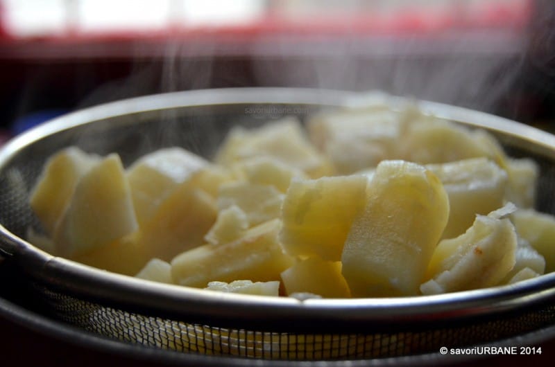 Piure de pastarnac sote de ciuperci piept de pui condimente casa (17)
