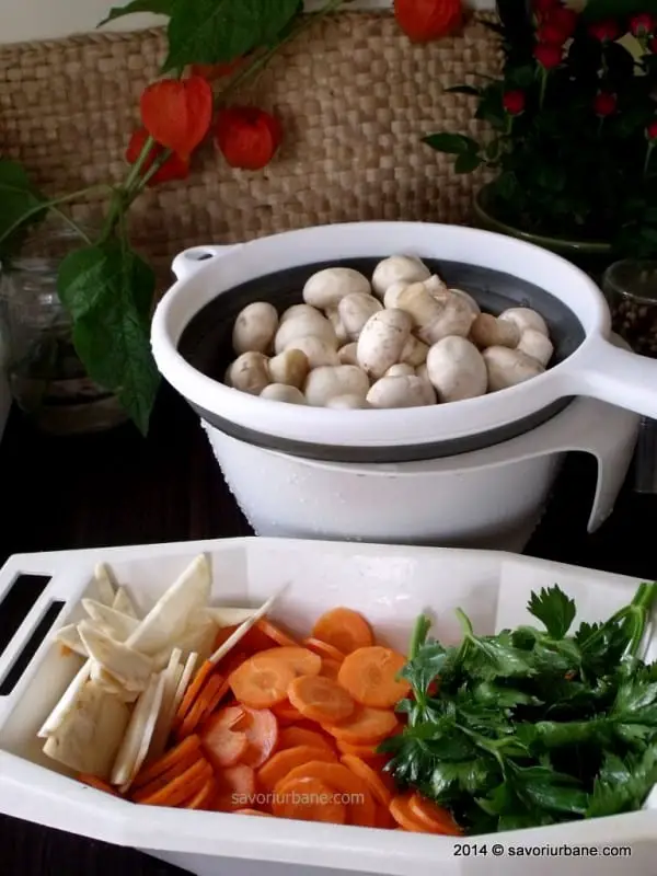 Supa de ciuperci (3)