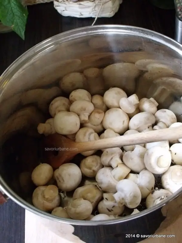 Supa de ciuperci (6)