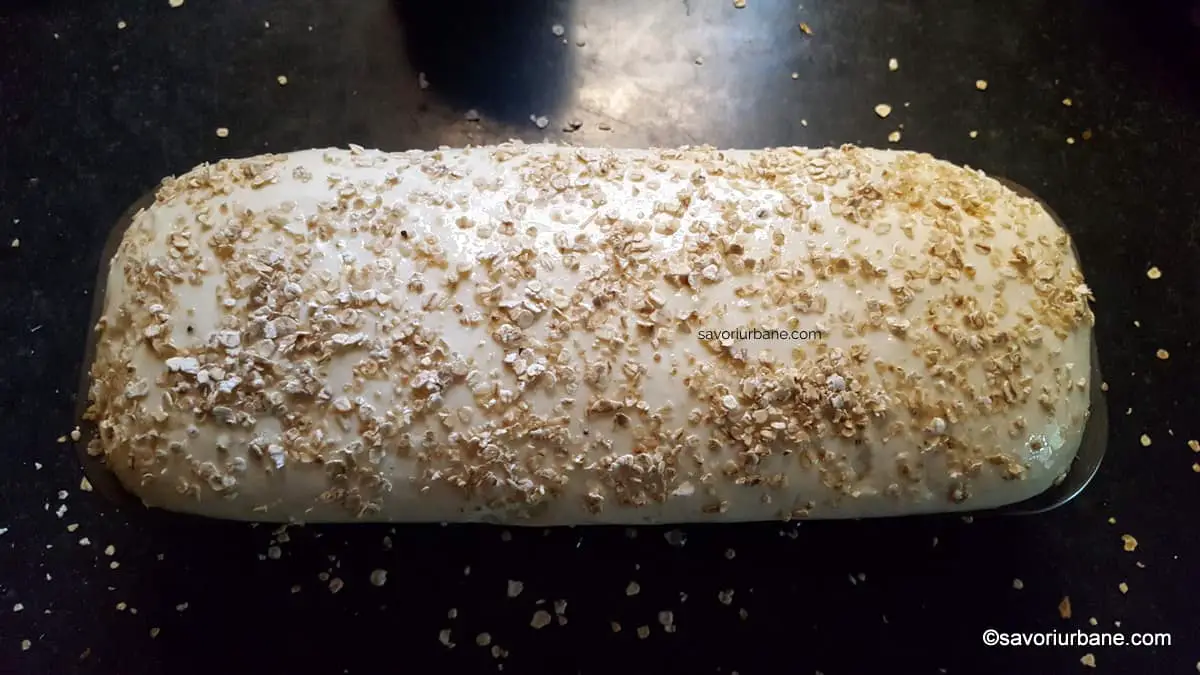 cum si cat se dospeste aluat de paine fara gluten (2)