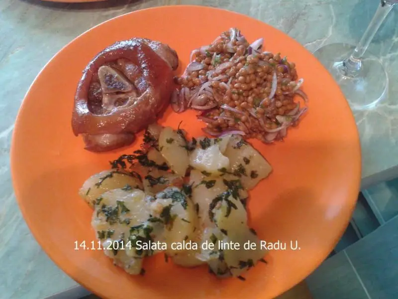14.11.2014 Salata calda de linte Radu U.