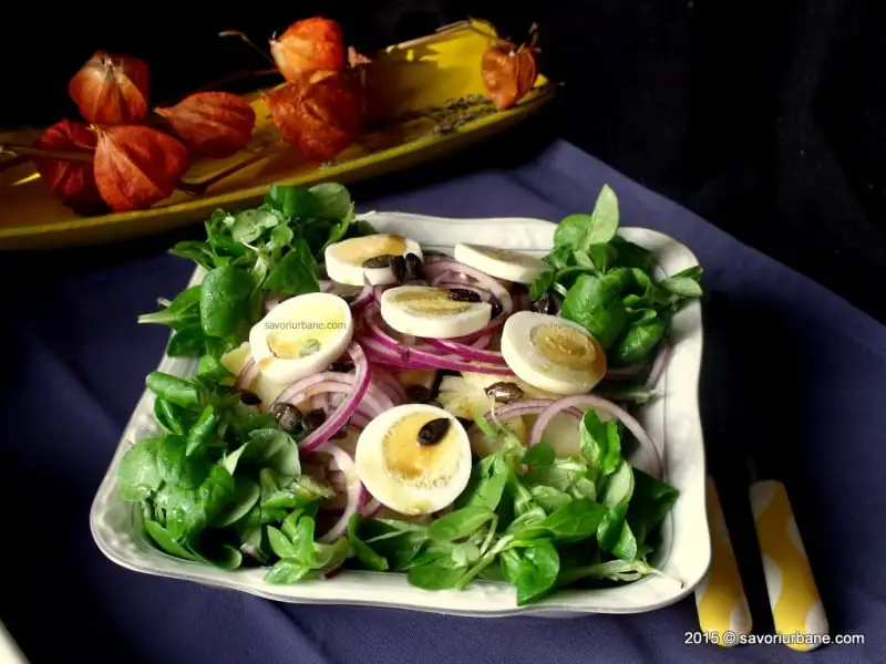 salata de cartofi cu oua si ceapa (11)