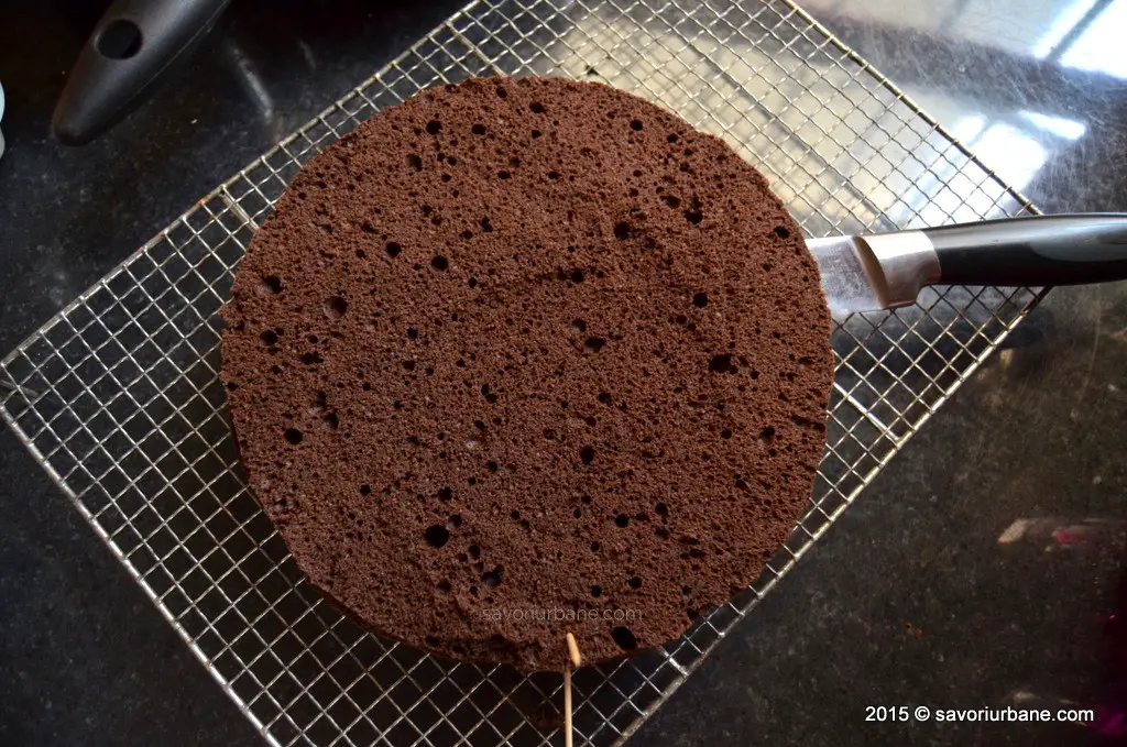 Blat de tort pandispan cu cacao (1)
