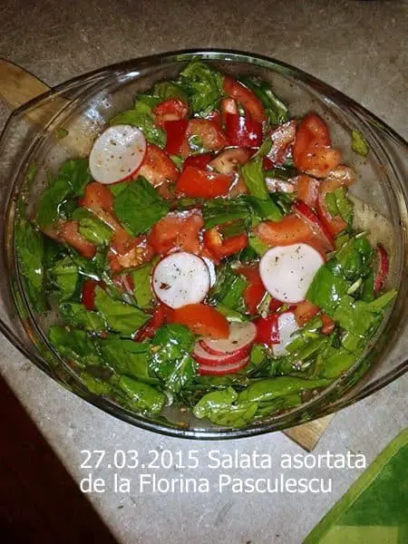 27.03.2015 Salata asortata Florina Pasculescu