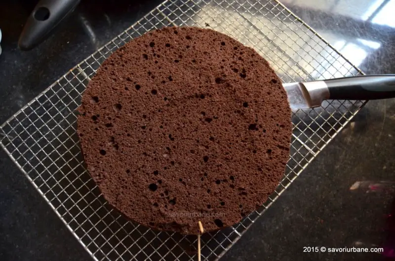 Blat de tort pandispan cu cacao