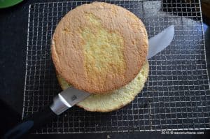 Blat de tort simplu - pandispan cu vanilie Savori Urbane (1)