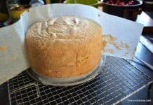 Blat de tort simplu pandispan cu vanilie – reteta care nu da gres Blat de tort simplu pandispan cu vanilie - reteta care nu da gres savori urbane