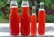 Sirop de capsuni fara fierbere (crud, nefiert) – rețeta video sirop de capsuni fara fierbere natural crud