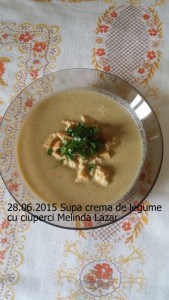 28.06.2015 Supa crema de legume cu ciuperci Melinda Lazar