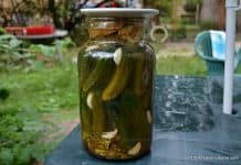 Castraveti murati de vara la soare reteta video de castraveti covasiti