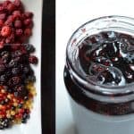 Dulceata de fructe de padure – zmeura, afine, mure, coacaze rosii, albe si negre