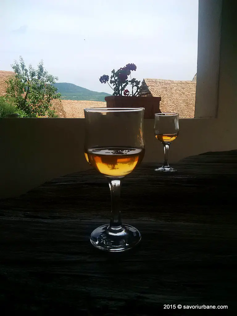 Transylvanian Wine (1)