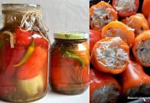 Ardei umpluti cu varza pentru iarna – reteta de muraturi delicioase in saramura +VIDEO Ardei umpluti cu varza pentru iarna - reteta de muraturi delicioase in saramura savori urbane