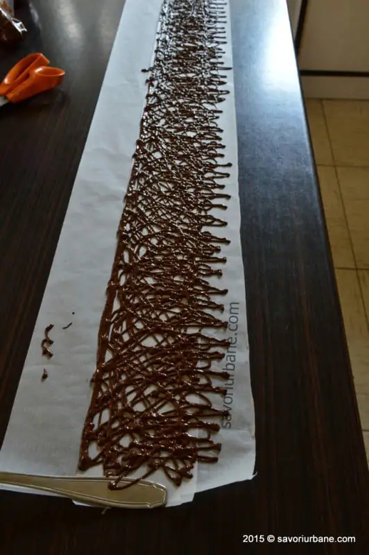 Tort-de-ciocolata (21)