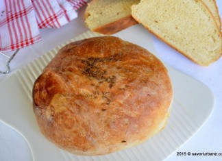 Paine de casa cu zer Paine de casa cu zer reteta savori urbane