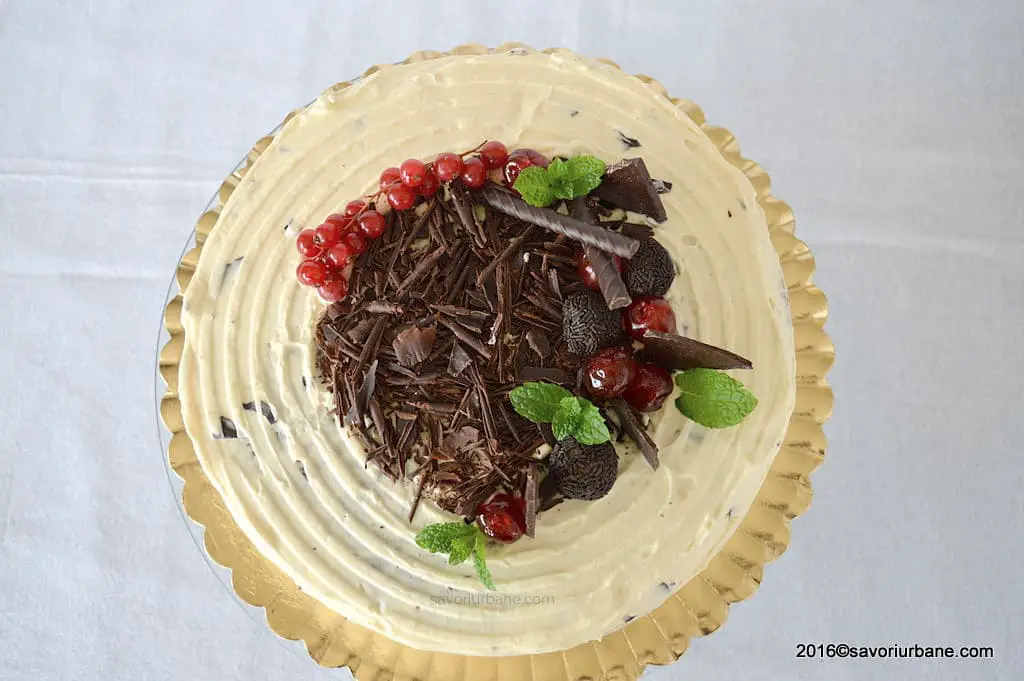 Tort stracciatella crema mascarpone si ciocolata Savori Urbane (5)