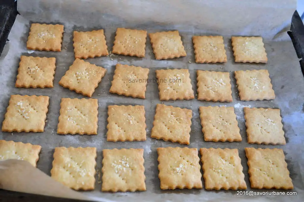 Crackers de casa cu parmezan (9)