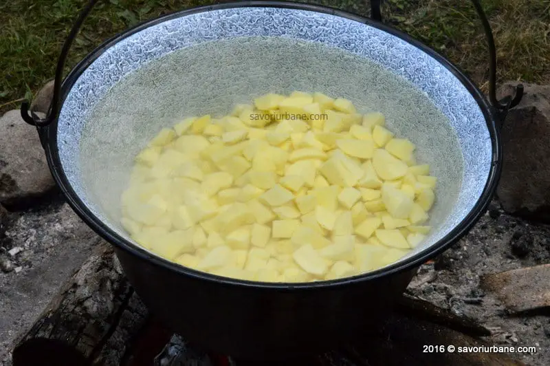 mancare de ciolan cu cartofi la ceaun (4)
