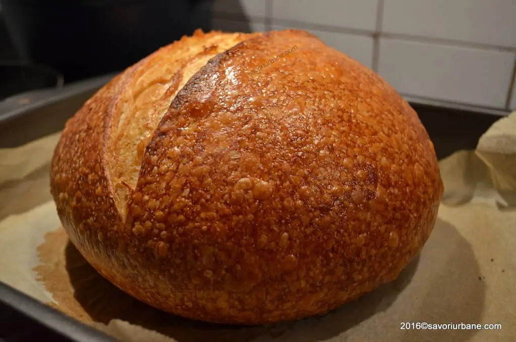 paine-romaneasca-de-casa-reteta-traditionala-1