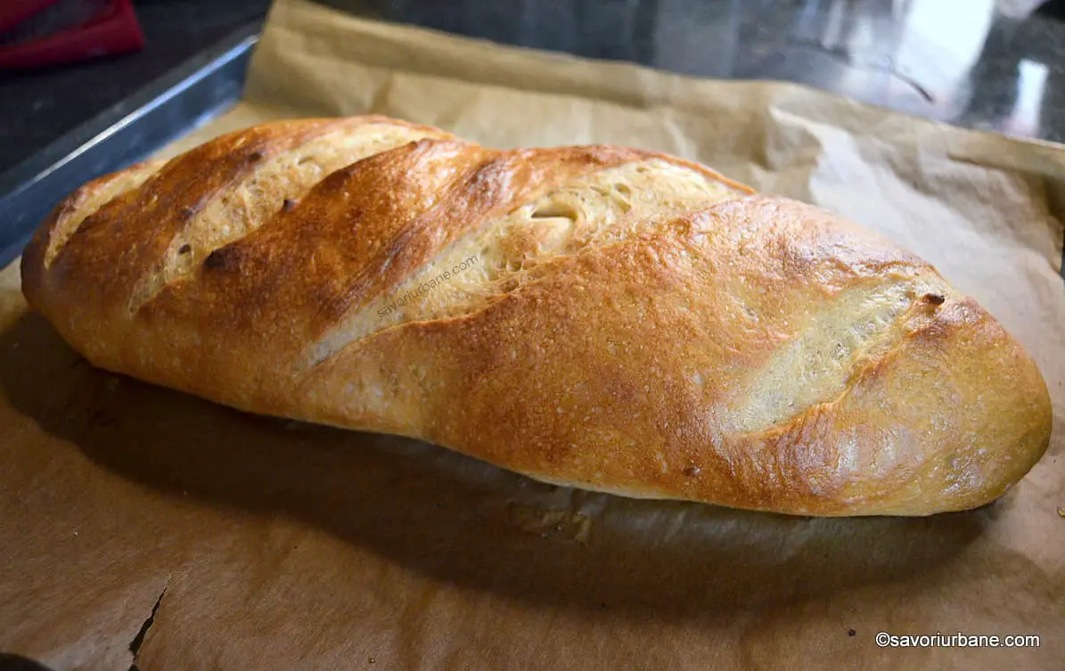 Franzela de casa reteta simpla - paine ca la brutarie savori urbane
