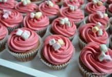 Briose cu ciocolata – umede si fragede