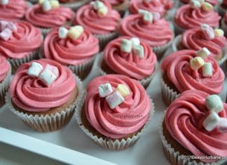 Briose cu ciocolata – umede si fragede