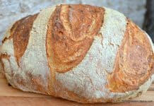 Paine de casa neframantata rapida – reteta VIDEO de painea lenesului Paine de casa neframantata reteta rapida savori urbane