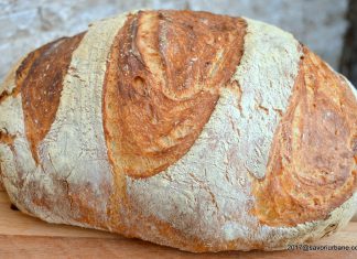 Paine de casa neframantata rapida – reteta VIDEO de painea lenesului Paine de casa neframantata reteta rapida savori urbane