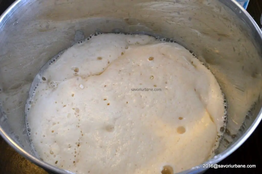cum se face maiaua pentru paine cu malai (2)