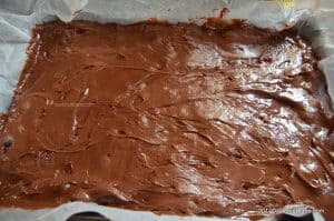 cum si cat se coace negresa brownie reteta originala (1)
