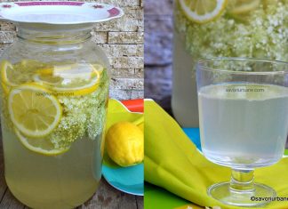 Socata reteta veche + video – cum se face suc din flori de soc cu lamaie? Socata reteta pas cu pas - cum se face socata cu lamaie savori urbane