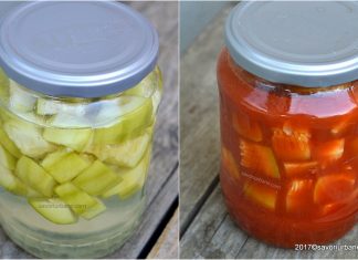 Dovlecei la borcan simpli sau in suc de rosii pentru iarna Dovlecei la borcan simpli sau in suc de rosii pentru iarna reteta pas cu pas savori urbane