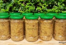 Vinete coapte la borcan sau la congelator (ladă) pentru iarna – rețeta VIDEO Vinete coapte la borcan sau la congelator (ladă) pentru iarna reteta savori urbane 1