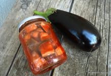 Vinete la borcan in bulion sau suc de rosii – pentru iarna Vinete la borcan in bulion sau suc de rosii - pentru iarna reteta savori urbane