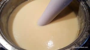 cum se paseaza supa crema de telina cu blenderul de mana (1)