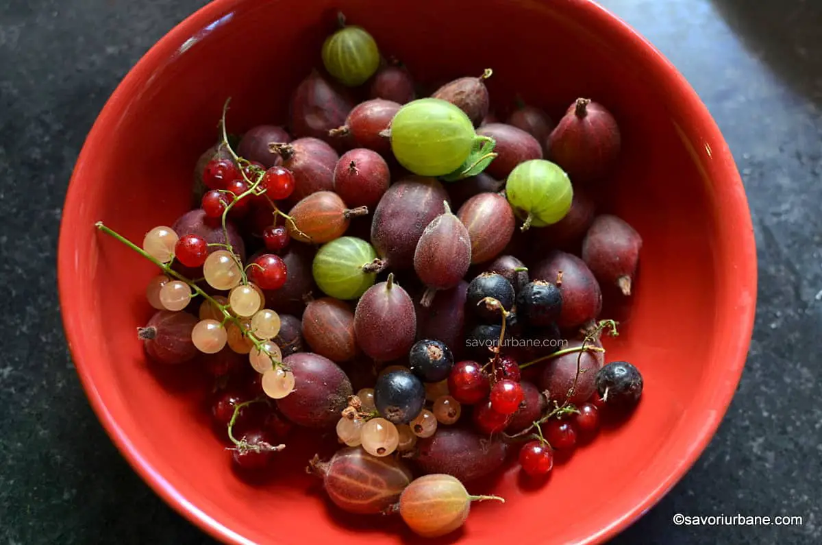 fructe de padure pentru sos agrise coacaze mure afine