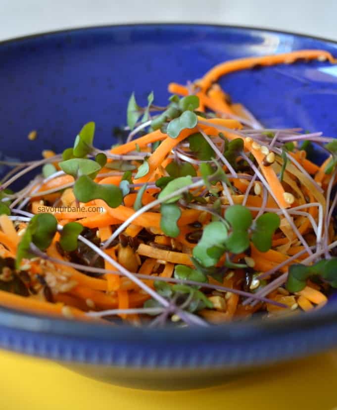 reteta salata de morcovi calduta sau rece cu microplante si seminte (1)