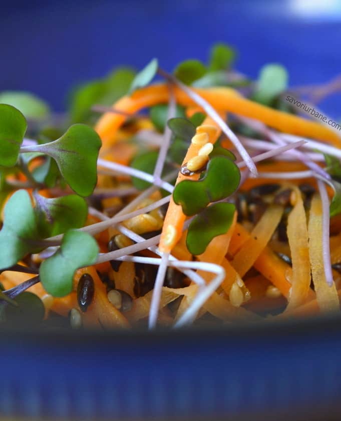 reteta salata de morcovi calduta sau rece cu microplante si seminte (2)